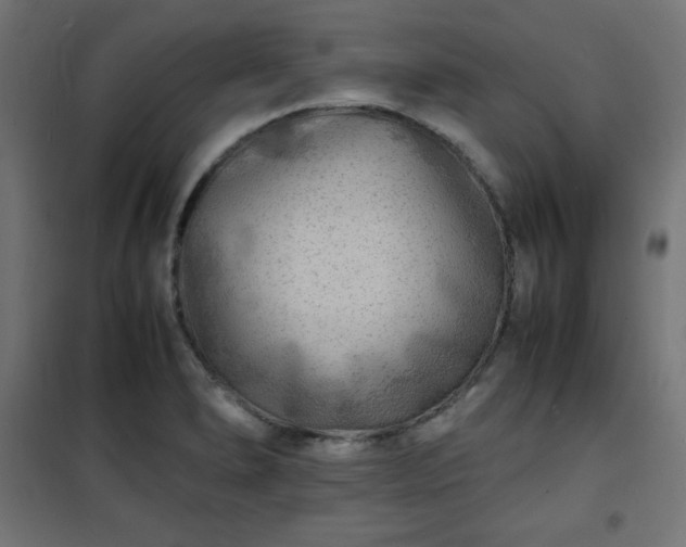 X0000101481278200807141406