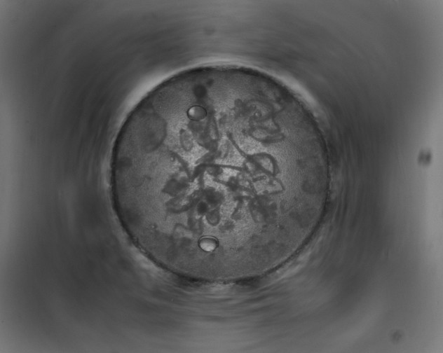 X0000101481279200807141406