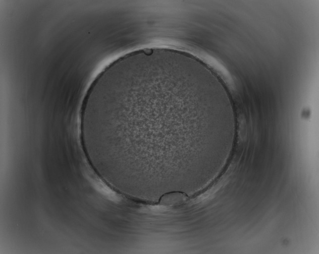 X0000101481280200807141406