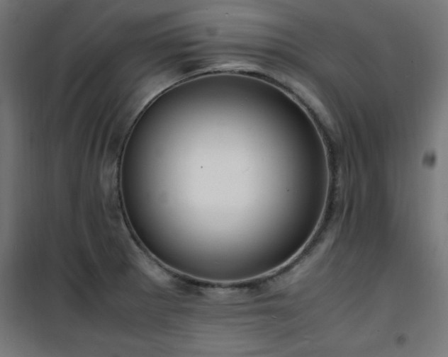 X0000101481281200807141406