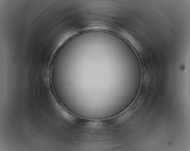 X0000101481282200807141406