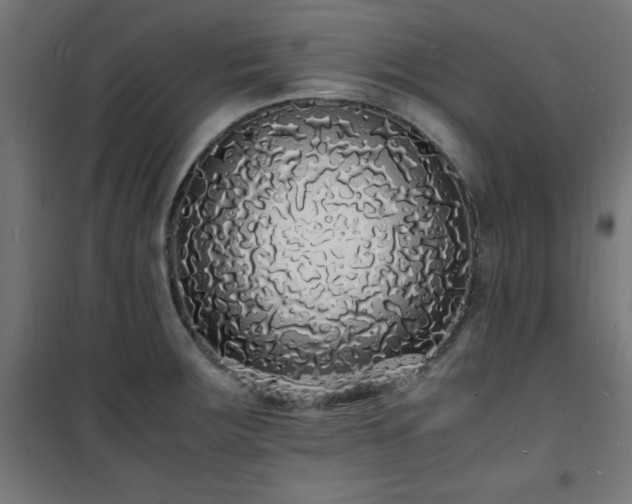 X0000101481283200807141406