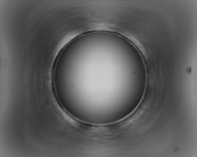 X0000101481285200807141406
