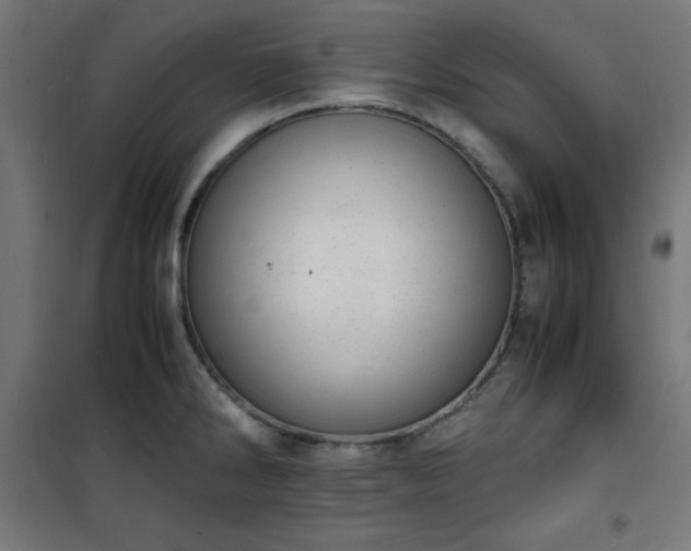 X0000101481286200807141406