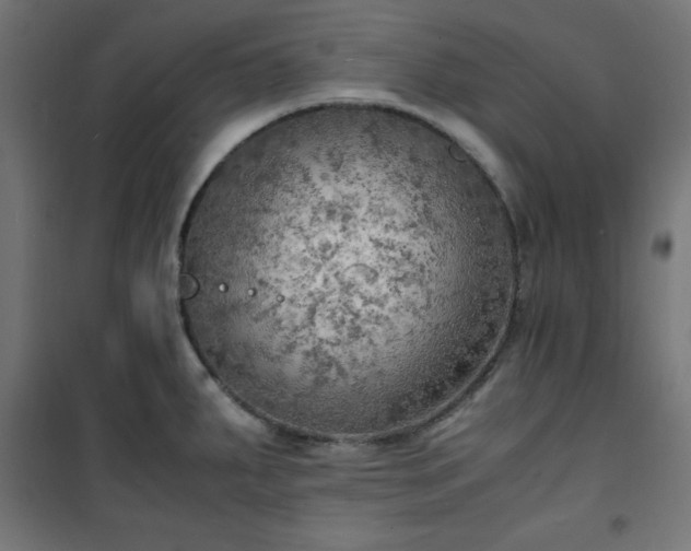 X0000101481287200807141406