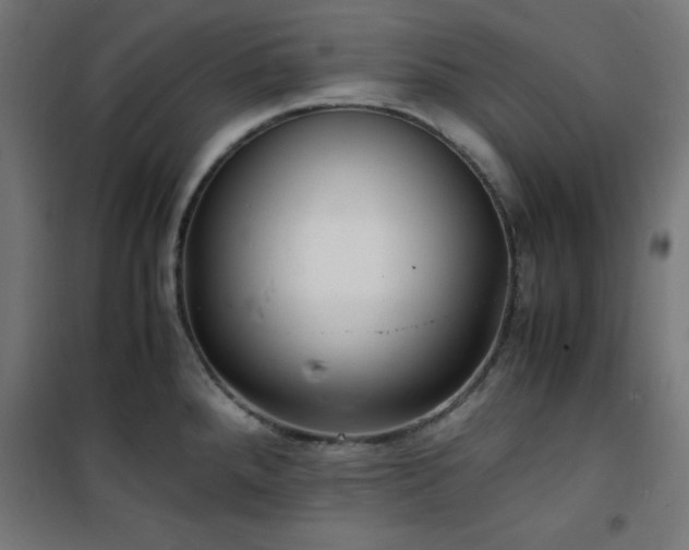 X0000101481288200807141406