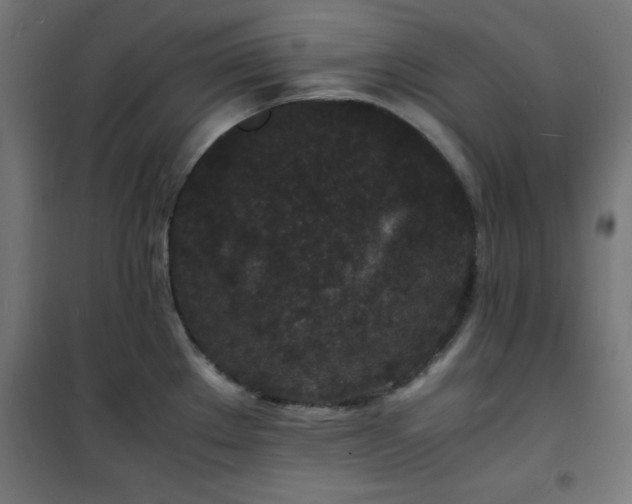 X0000101481289200807141406