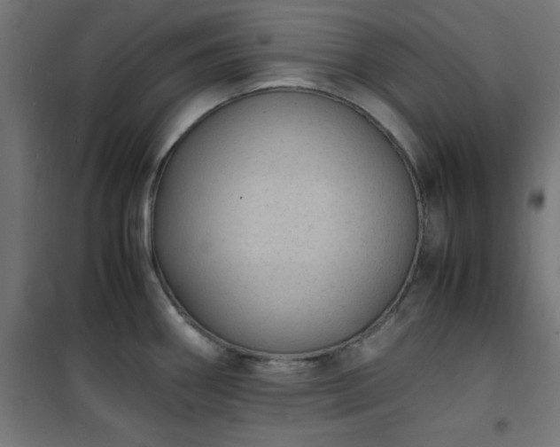 X0000101481290200807141406