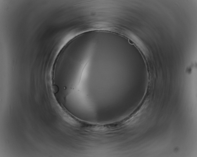 X0000101481291200807141406
