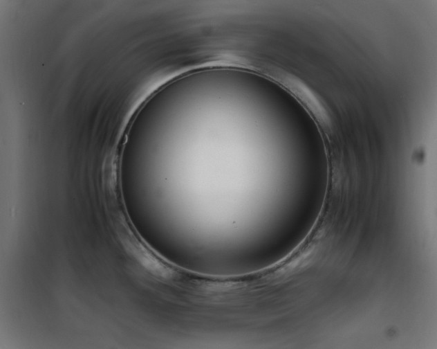 X0000101481292200807141406