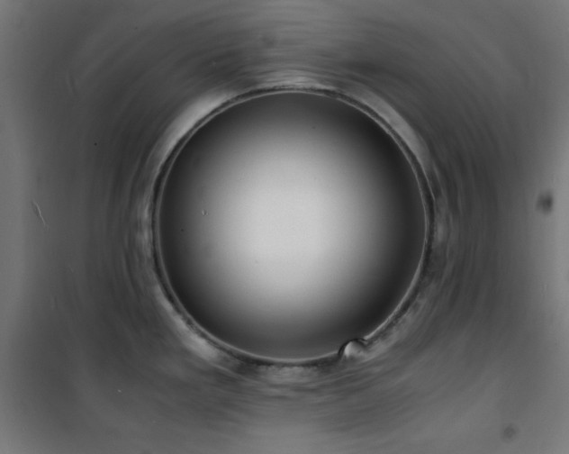 X0000101481293200807141406