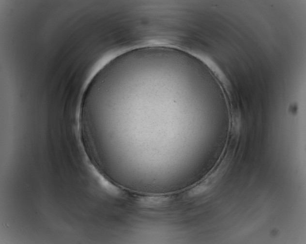 X0000101481294200807141406