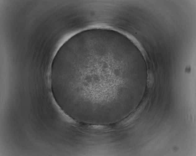 X0000101481295200807141406