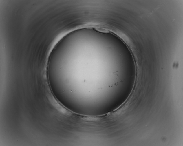 X0000101481296200807141406