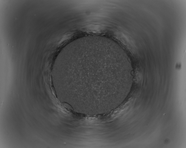 X0000101481297200807141405
