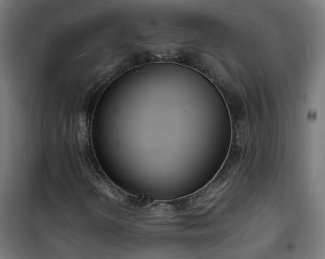 X0000101481298200807141405