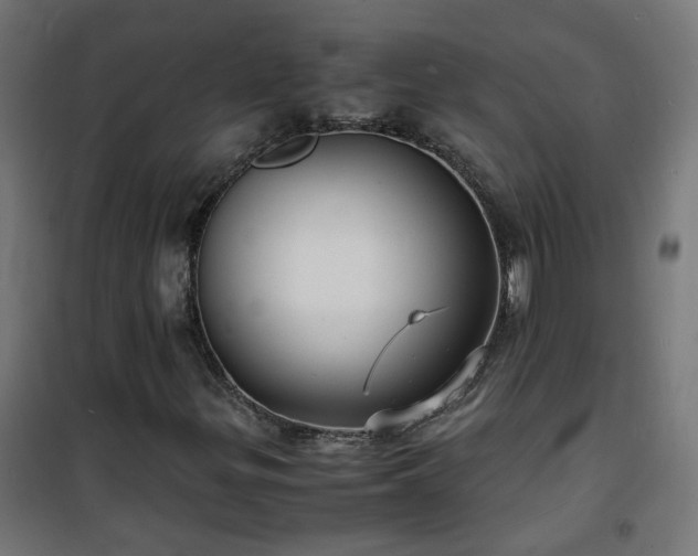 X0000101481299200807141405
