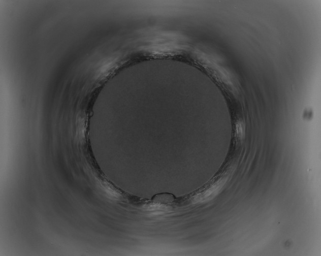 X0000101481300200807141405