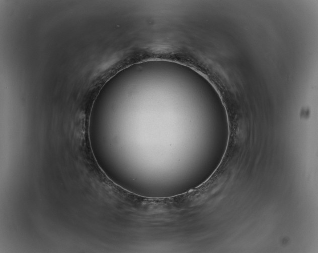 X0000101481301200807141405