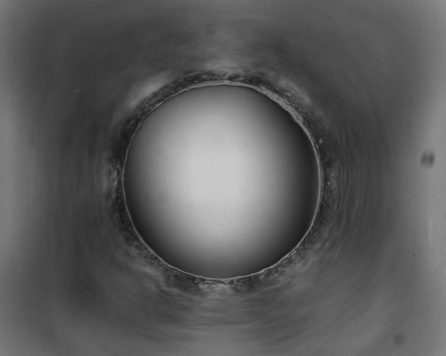 X0000101481302200807141405