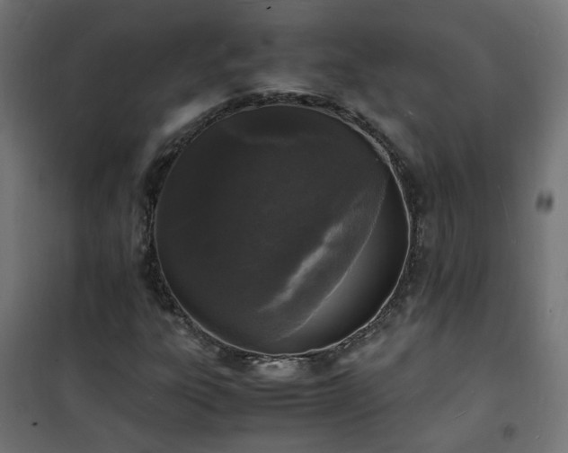 X0000101481303200807141405