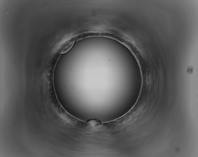 X0000101481304200807141405