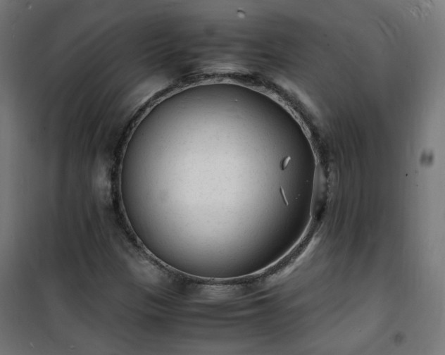 X0000101481305200807141405