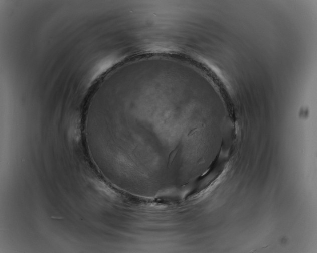 X0000101481306200807141405