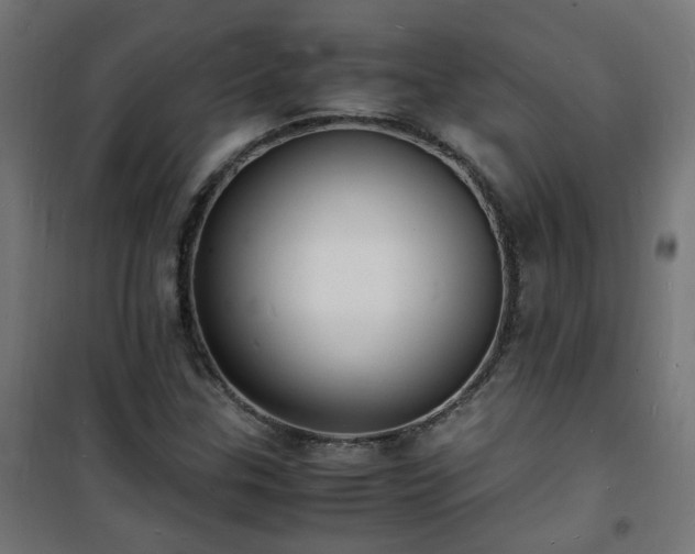 X0000101481307200807141405