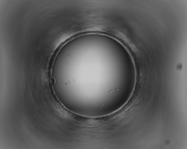 X0000101481308200807141405