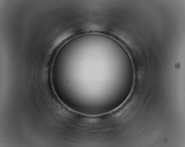 X0000101481309200807141405