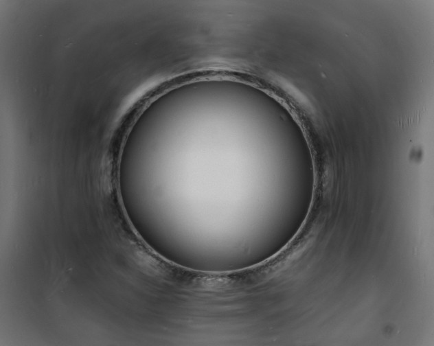 X0000101481310200807141405