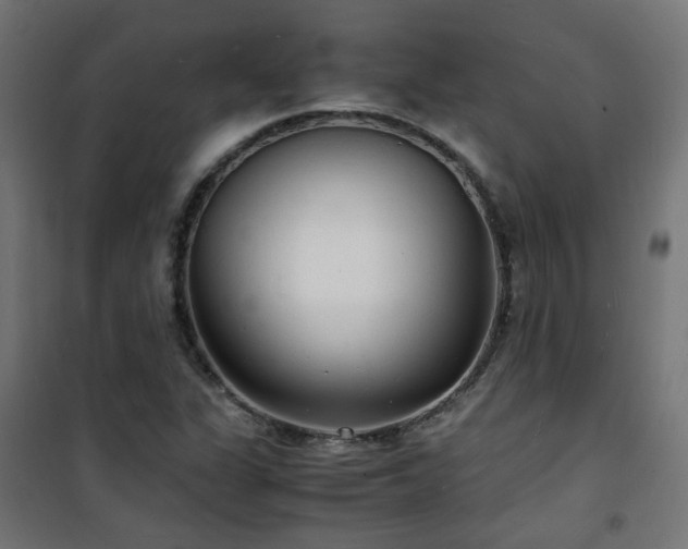 X0000101481311200807141405