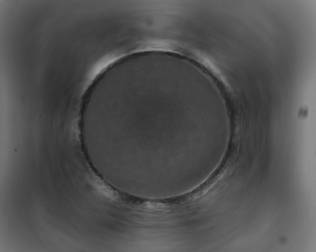 X0000101481312200807141405
