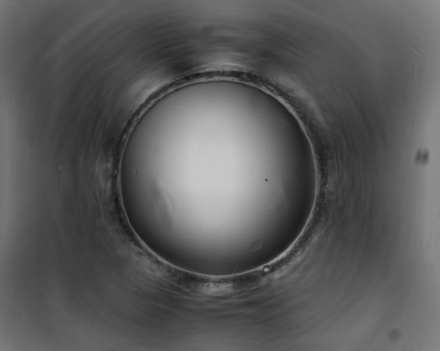 X0000101481313200807141405