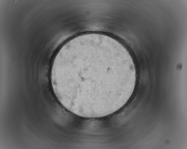 X0000101481314200807141405