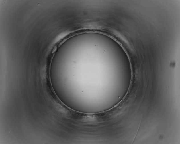 X0000101481315200807141405