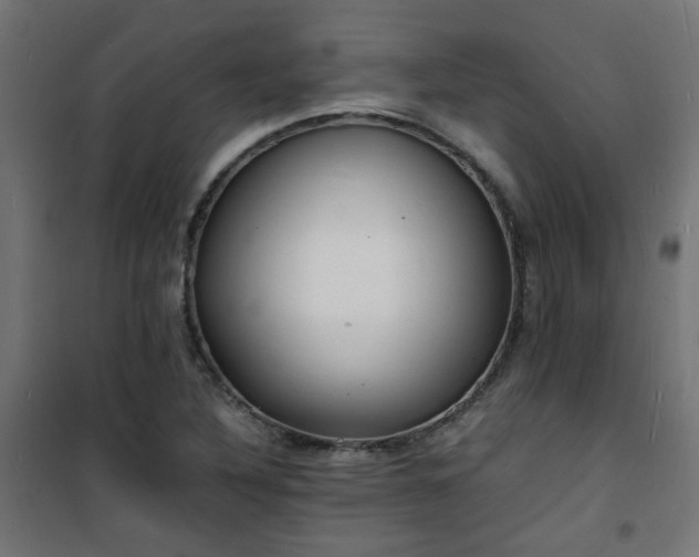 X0000101481316200807141405