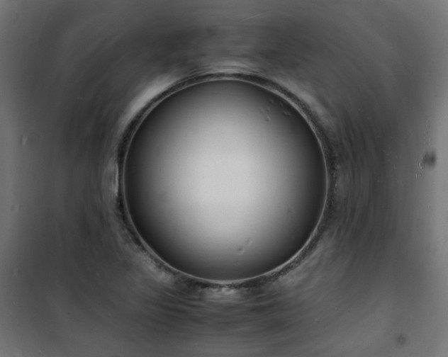 X0000101481317200807141405