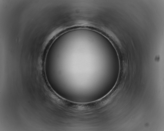 X0000101481318200807141405