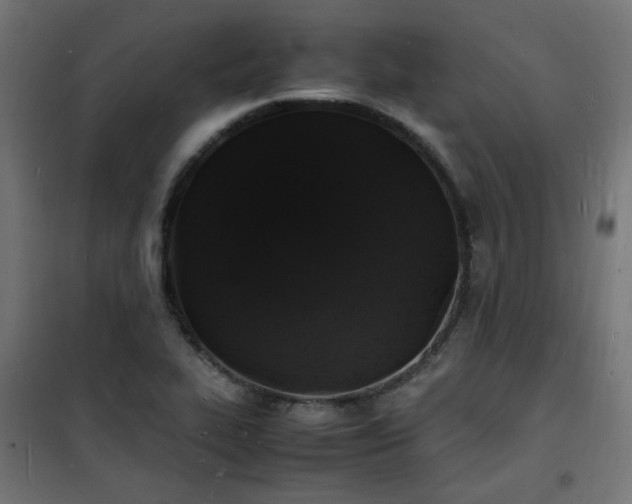 X0000101481319200807141405