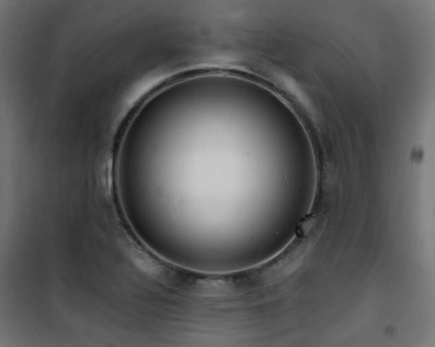 X0000101481320200807141405
