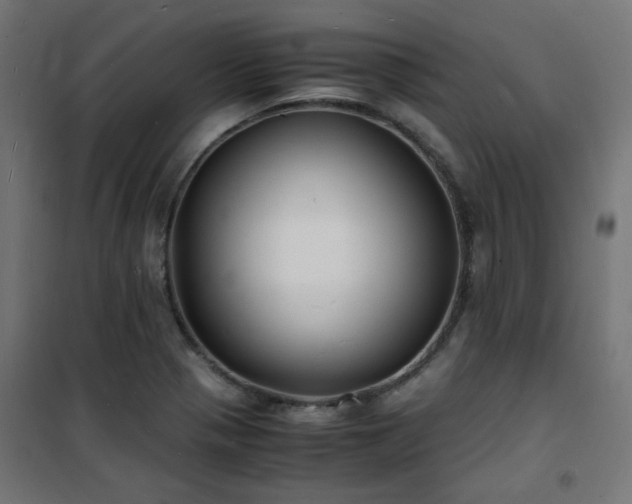 X0000101481321200807141405
