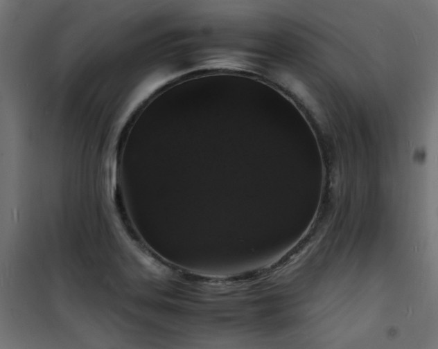 X0000101481323200807141405