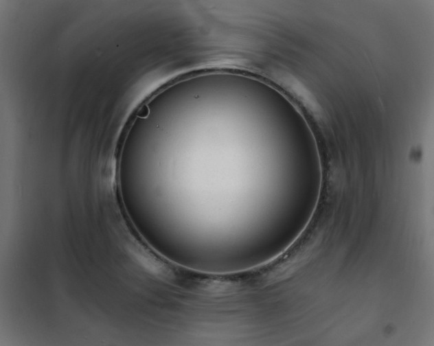 X0000101481324200807141405