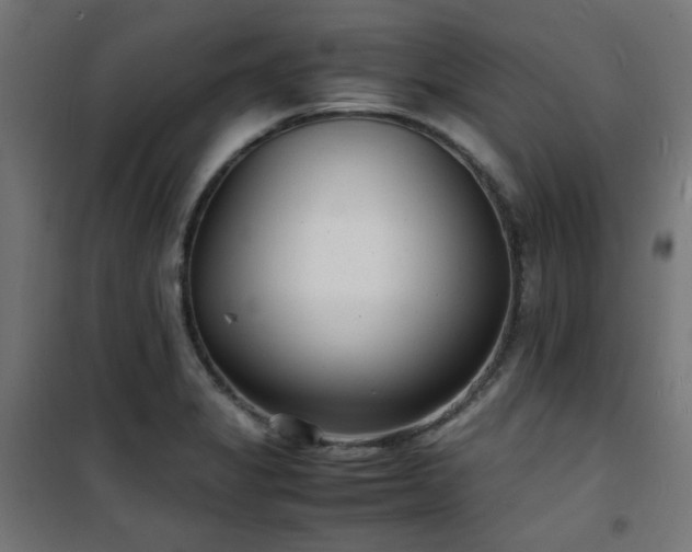 X0000101481325200807141405