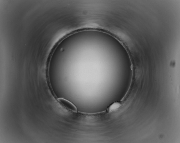 X0000101481326200807141405