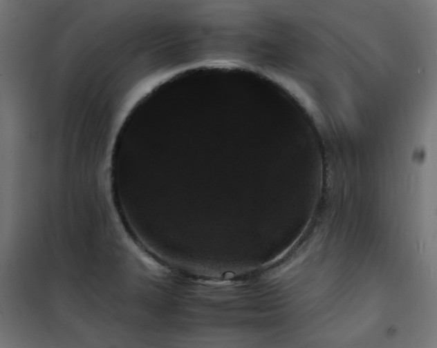 X0000101481327200807141405
