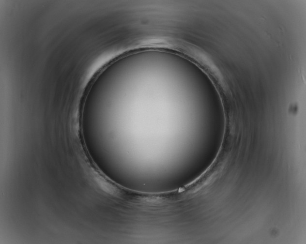 X0000101481328200807141405