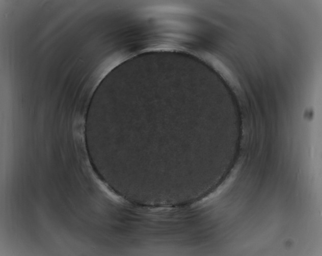 X0000101481329200807141405